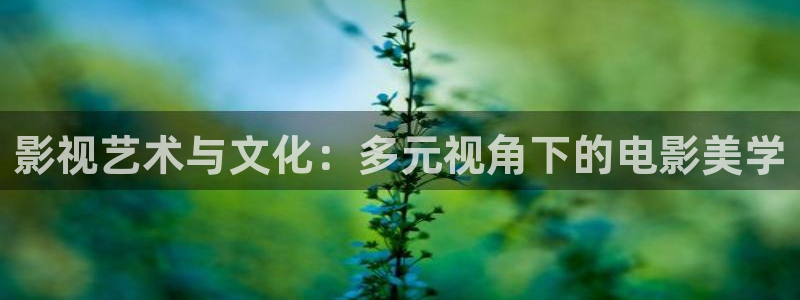 光棍影院22019最新版