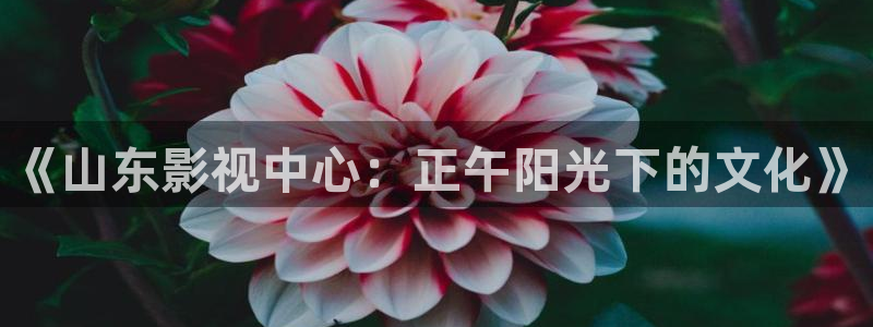 光棍影院毛片