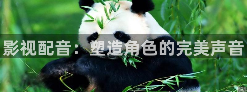光棍电影光棍电影院