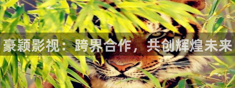 y11111111光棍影院