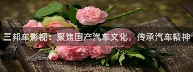 光棍爱看的影院